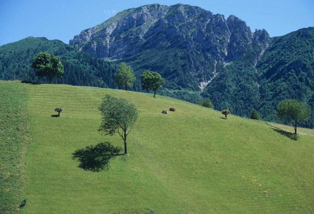 Albergo Belvedere Collio Zewnętrze zdjęcie
